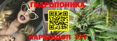 spice Коммунар