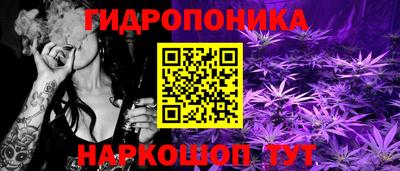 крисы Комсомольск-на-Амуре